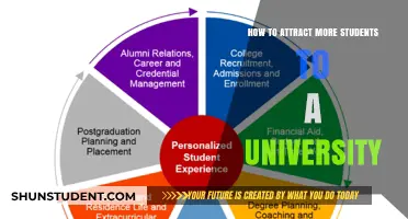 Attracting Students: Strategies for University Enrollment Growth