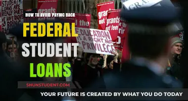Avoiding Student Loan Repayment: Strategies and Consequences