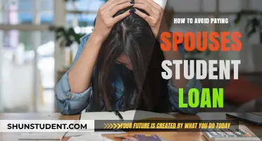 Strategies to Navigate Spousal Student Loan Payments