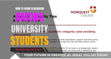 Academic Integrity: Strategies to Prevent Plagiarism for University Students