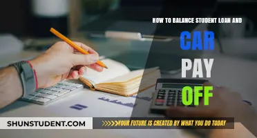 Student Loan and Car Debt: Balancing Act