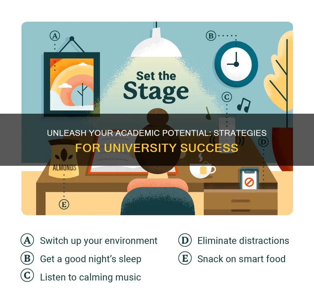 how to be a clever student in university