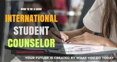Effective Strategies for International Student Counselors