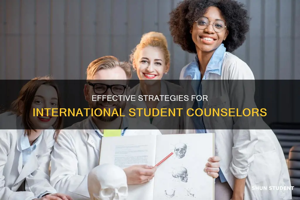 how to be a good international student counselor
