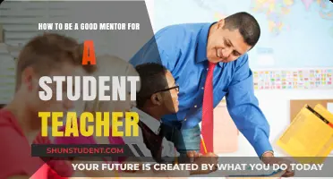 Empowering Student Teachers: Essential Strategies for Effective Mentorship
