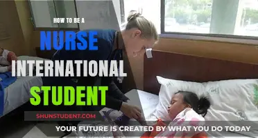International Nursing: Your Guide to Becoming a Nurse Abroad