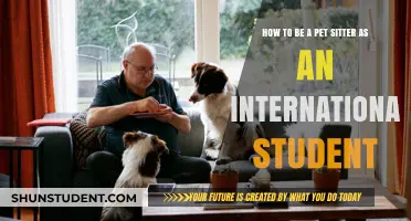 Pet Sitting as an International Student: A Guide