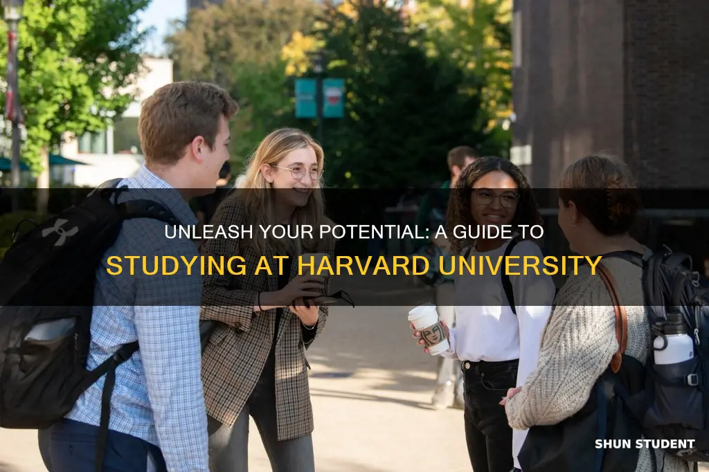 how to be a student of harvard university