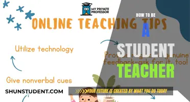 Mastering the Art of Student Teaching: Tips for Success in the Classroom