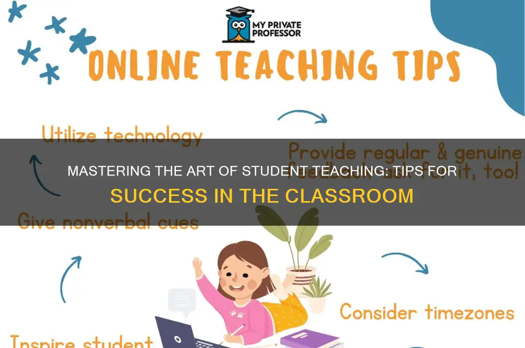 how to be a student teacher