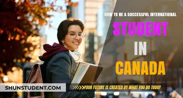 Strategies for Success as an International Student in Canada