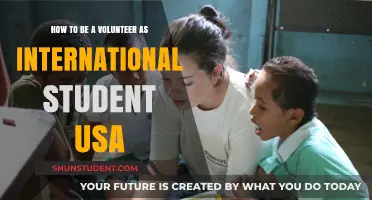 Volunteering as an International Student: Your US Guide