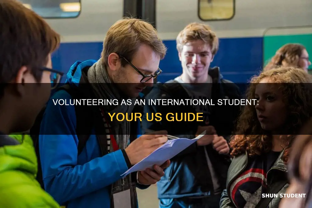 how to be a volunteer as international student usa