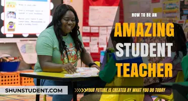Mastering the Art of Student Teaching: Tips for Success and Impact