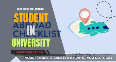 Unleash Your Adventure: A Guide to Thriving as an Exchange Student