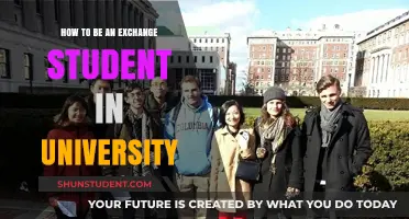 A Guide to Becoming an Exchange Student at University