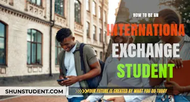 A Worldly Student: Navigating International Exchange