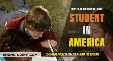 A Guide for International Students in America