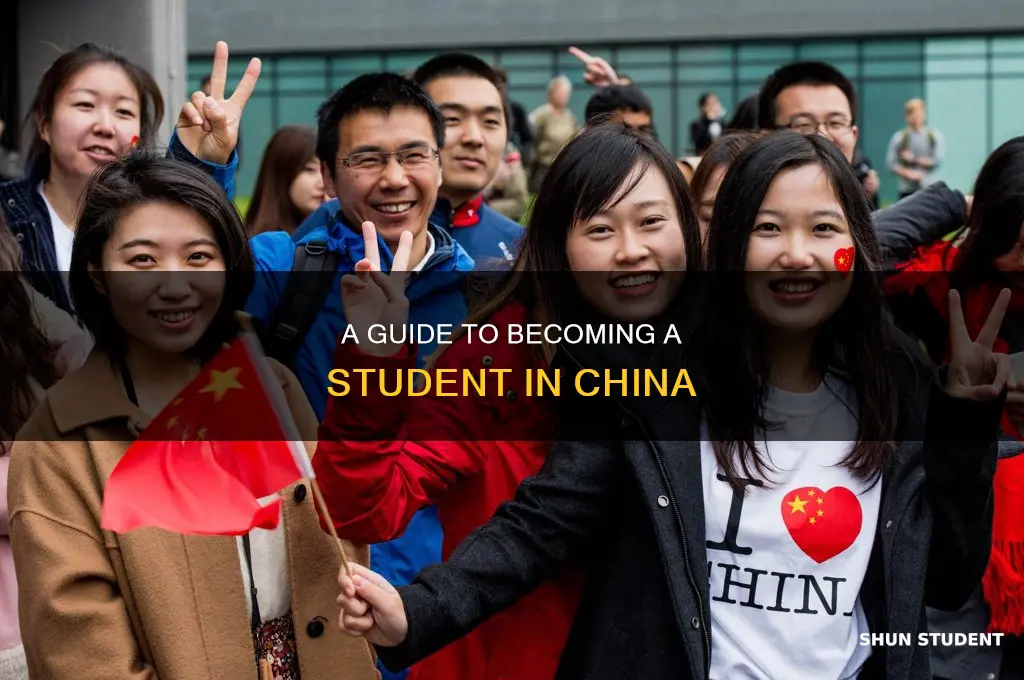how to be an international student in china
