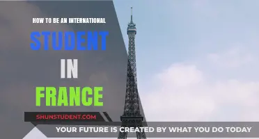 Unlocking France: A Guide for International Students
