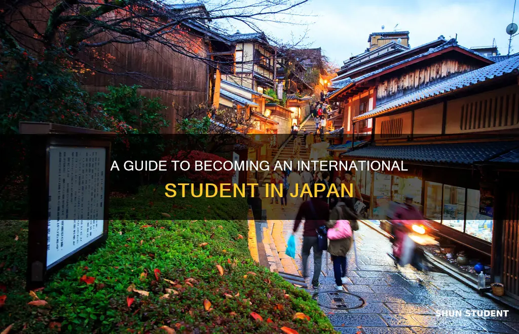 how to be an international student in japan