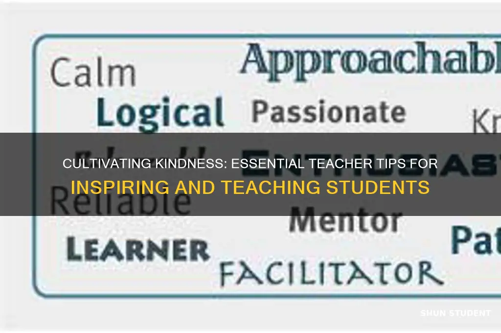 how to be kind teacher tios to teach students