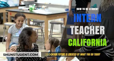 Student Intern Teaching: California's Requirements