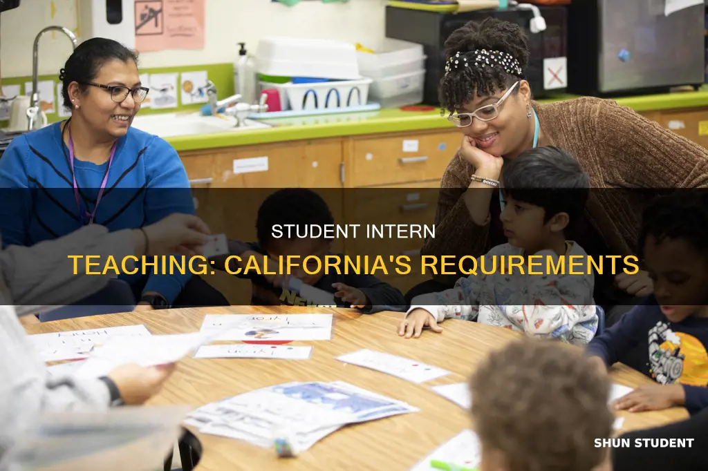 how to be student intern teacher california