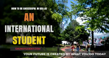 Strategies for International Students to Succeed in the US