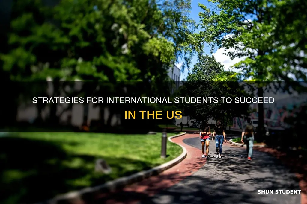 how to be successful in usa as an international student