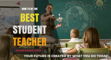 Mastering Student Teaching: Essential Tips for Excellence in the Classroom