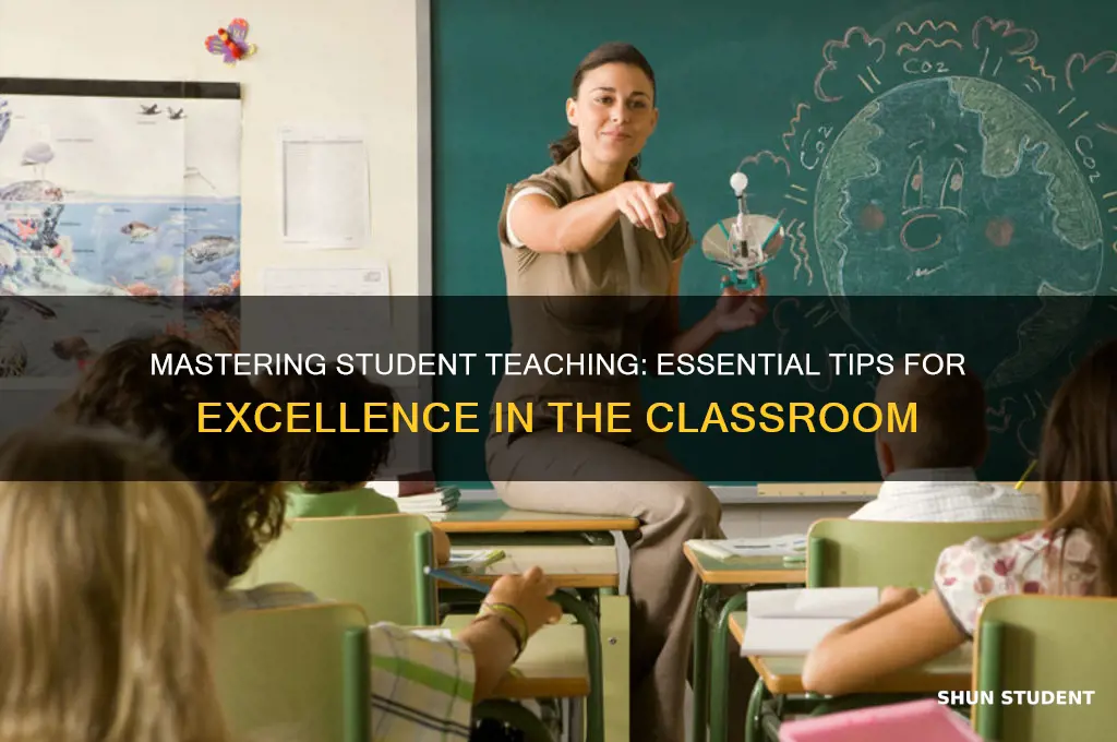how to be the best student teacher