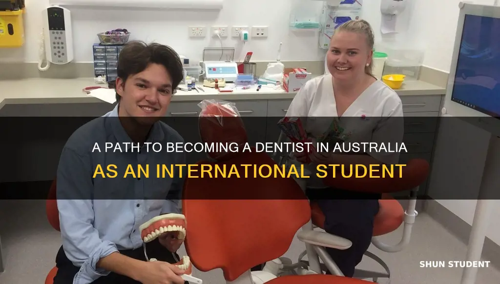 how to become a dentist in australia for international students