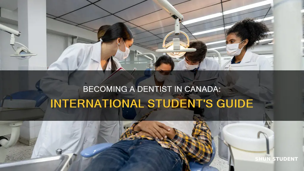 how to become a dentist in canada for international students