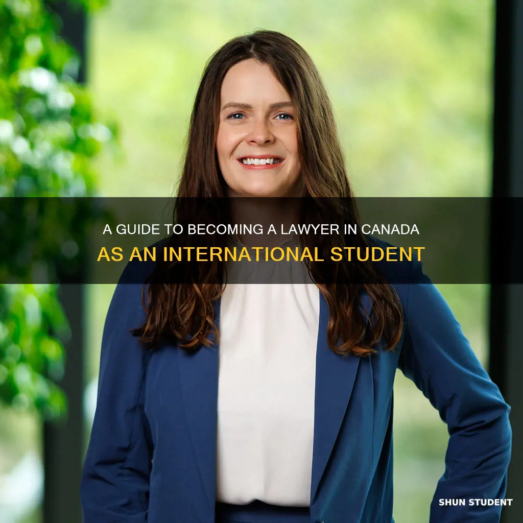 how to become a lawyer in canada for international students