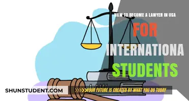 A Practical Guide: Becoming a Lawyer in the USA