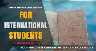 Becoming a Guardian for International Students: A Legal Guide