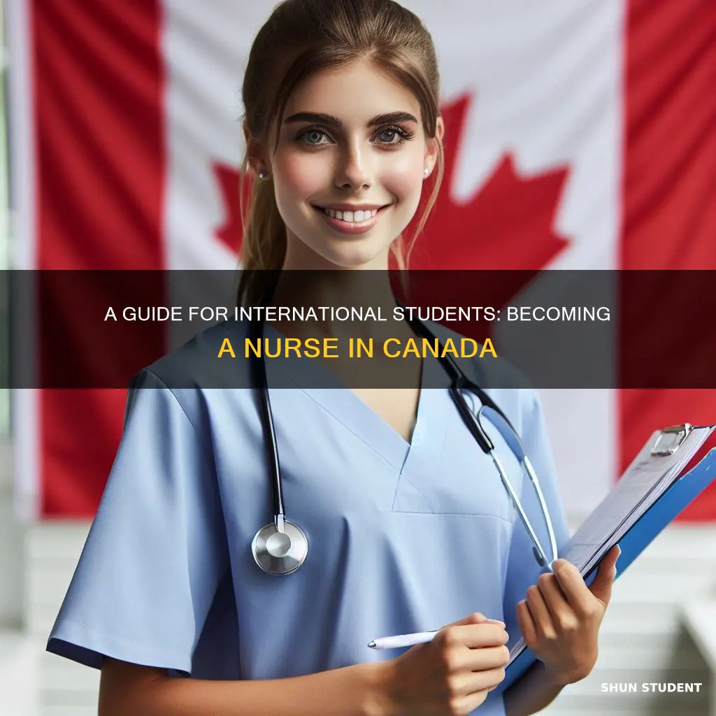 how to become a nurse in canada for international students