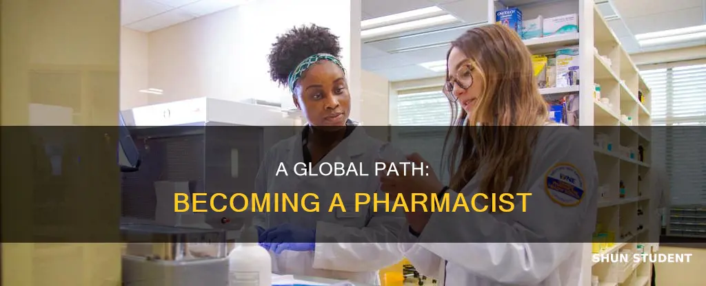how to become a pharmacist for international students
