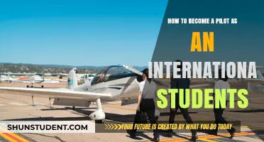 Becoming a Pilot: International Student's Guide