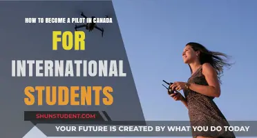 Becoming a Pilot in Canada: An International Student's Guide