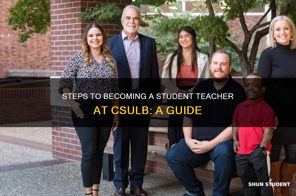 how to become a student teacher at csulb