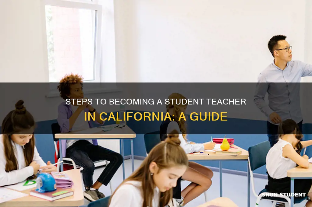how to become a student teacher in california