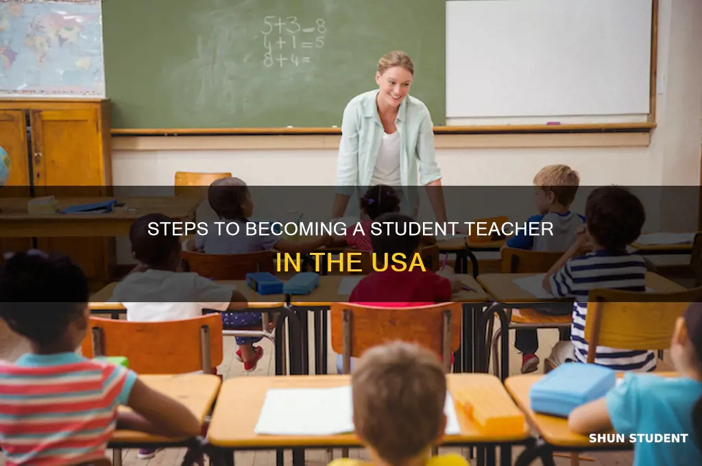 how to become a student teacher in usa