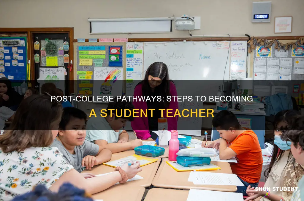 how to become a student teacher out of college