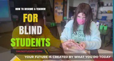 Empowering Blind Learners: A Guide to Teaching Visually Impaired Students