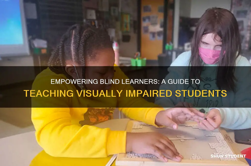 how to become a teacher for blind students