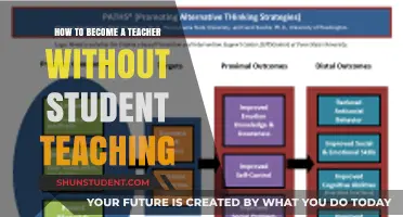 Alternative Paths to Teaching: How to Become a Teacher Without Student Teaching