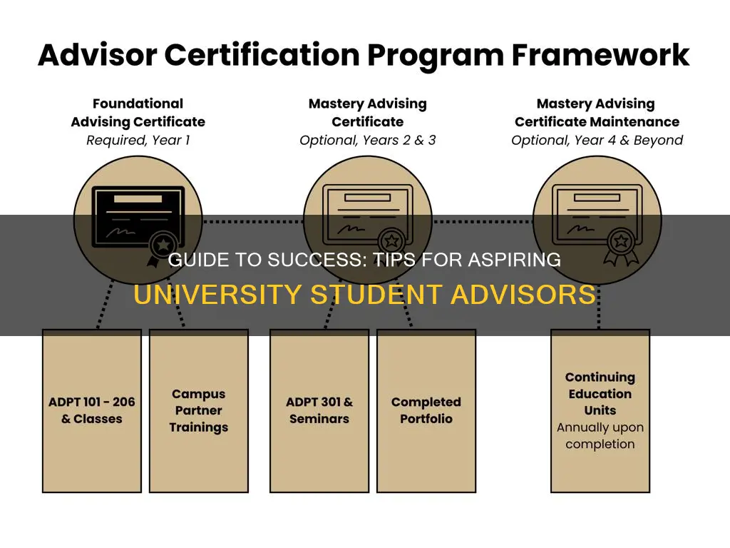 how to become a university student advisor