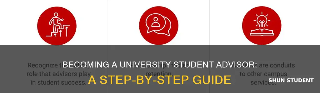 how to become a university student advisor